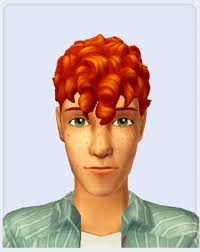 matthew pleasant is now my most favorite sim i've had born in-game : r/sims2