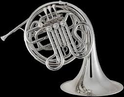 Colorado State University