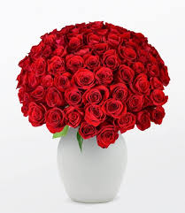 Drowning, engulfed by my past show me a mirror let me see who i really am. Red Rose Rain Send In Amman