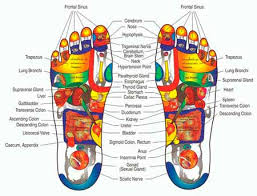 Reflexology Foot Chart She Reflexology St Albans Hertfordshire