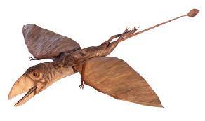 Survival evolved, including taming times, food requirements, kibble recipes, saddle ingredients. Dimorphodon Dimorphodon Facts Dk Find Out