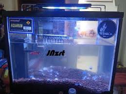 We did not find results for: Jual Aquarium Produk Terbaru 2020 Blibli Com