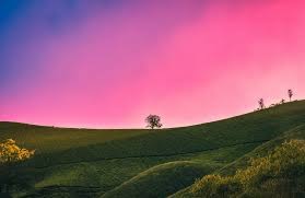 Our list of the best nature pictures & images full hd, their amazing nature pictures and images latest collection. 750 Beautiful Nature Pictures Download Free Images Stock Photos On Unsplash