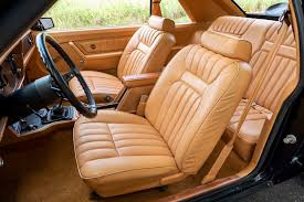 Image result for Middle Beige 1979 Capri