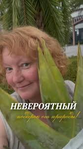 Вчера закончился Чемпионат Мира в Нидерландах. И мы знаем имя нового  чемпиона ! Это Tomasz Kuczynski ( Польша)!, Но пост мой сегодня о том ,  Чемпионом человека делает Талант, Трудолюбие и ...