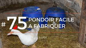 Pondoir Facile A Fabriquer Lfdt 75 Youtube