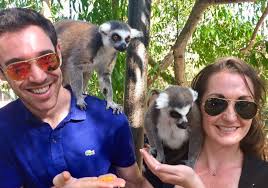 Vet Spotlight: Dr. Julian's insights into pet owner education