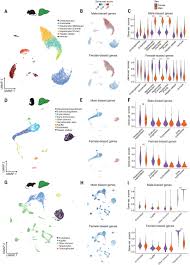 Joshiochi! 2-kai kara Onna no Ko ga Kudattekita-fanservice review