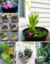 Mini Gartenteich Bauen Kleine Oasen Im Garten Oder Auf Dem Balkon Gartenteich Bauen Gartenteich Miniteich