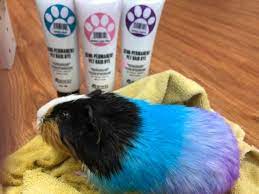 Opawz Semi Permanent Dye Safe Hair Dye Pet Grooming Creative Grooming