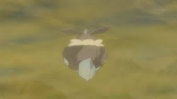 Rocara, with operations in belfast and dublin, provides a wide range of general and speciality chemicals, solvents and surfactants. Rocara Anime Pokewiki