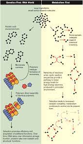 The Origin Of Life American Scientist
