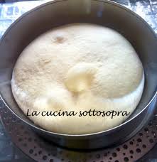 Impasto Base Bimby Per Pizza Focaccia E Panzerotti L 39 Impasto Base Bimby Per Pizze Focacce E Panzerotti Che Vi Propongo Ricette Ricette Dello Chef Bimby