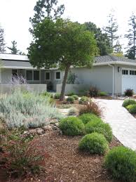 Sustainable Front Yard Install Ideas For San Jose Los Gatos Palo Alto Front Yard Landscaping Yard Landscaping Front Yard Landscaping Design