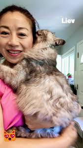 Rosa Wang Photography