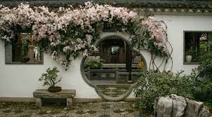 Touch on image to zoom. The Evergreen Clematis Clematis Armandii The Garden Of Eaden