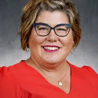 Minnesota House of Representatives District 17A