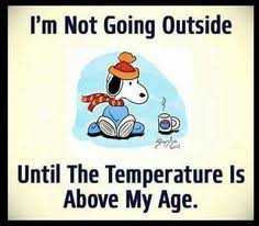 99 Cold weather humor ideas | humor, bones funny, winter humor