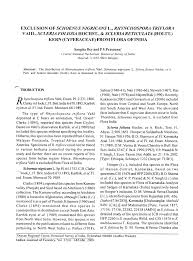 Image result for Scleria foliosa