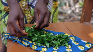 Traditional healers help doctors reach patients in Sierra Leone | Health | Al Jazeera