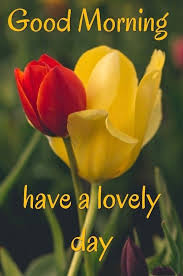 Bonjour Passez Une Belle Journee In 2020 Tuesday Quotes Good Morning Good Morning Love Latest Good Morning