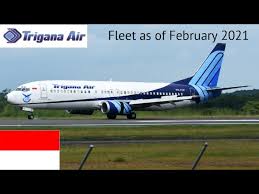Trigana air flights always meet the highest standards for safety and security. Trigana Air Fleet As Of February 2021 Youtube