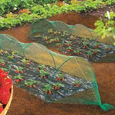 Faire défiler les siècles, en embrasser les âges, en sentir les bouleversements, comme si yuval noah harari avait croisé. Filet Anti Oiseaux Pour Potager 2 X 5 Metres Vente Filet Anti Oiseaux Pour Potager 2 X 5 Metres