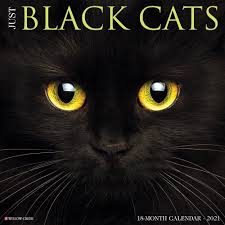 2021 Monthly Wall Calendar Just Black Cats Willow Creek Press In 2020 Black Cat Cats Funny Cute Cats