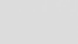 We did not find results for: Plain White Background Free Stock Photo Public Domain Pictures