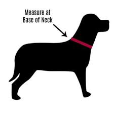 We did not find results for: Sizing Instructions Three Wags