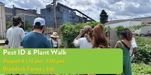 Pests & Plant ID Walk