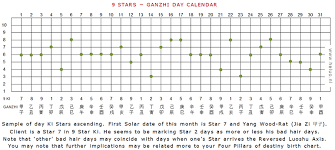 Your Qi Diary Day Calendar 9 Stars For 9 Star Ki Divination