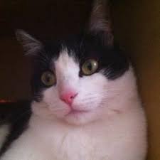 Depuis le temps que l'on ne s'est pas vus. Jerome C Est Moi Song Lyrics And Music By C Jerome Arranged By Swaty987 On Smule Social Singing App