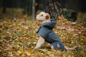 The only way to get through april showers? How To Make A Raincoat For Your Dog My Animals
