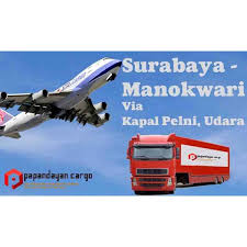 Ekspedisi surabaya papua melayani pengiriman barang besar,berat seperti alat berat, alat kontruksi, sembako sorong manokwari timika merauke jayapura nabire biak. Ekspedisi Surabaya Manokwari Ekspedisi Sitrans Jasa Pengiriman Cargo Claveyriverequipment