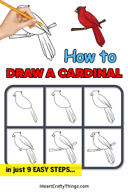 How To Draw A Cardinal Step By Step Guide In 2021 Drawing For Kids Cardinal Drawing Drawings