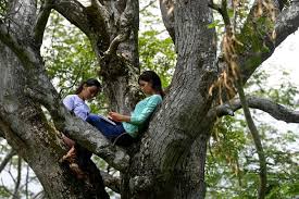 See the pimentel surname, family crest & coat of arms. El Salvadoran Sisters Attending Online Classes Up A Tree Arab News