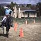 Ground and mounted archery rally event image