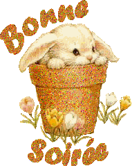 Résultat de recherche d'images pour "gif BONNE SOIREE"