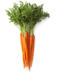 What color is a carrot. The Colour Of Carrots The Gardens Trust