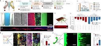 The total amount of ink left is displayed at the bar on top of the screen. Ljzfqzr9aqfkjm