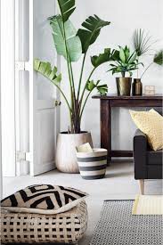 Living room house plant ideas. Indoor Plant Decor Ideas For Your Home Luci S Morsels