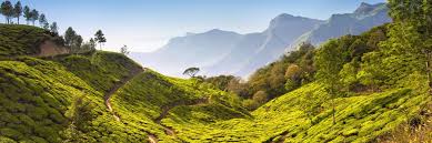 Assam, widely known for its tea plantations, picturesque rice fields and wildlife sanctuary, is a perfect gateway for. Visit Assam On A Trip To India Audley Travel