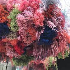 Sharing an easy dried flower and herb wall hanging for your home.↓↓↓↓↓ how to make a dried flower wall hanging ↓↓↓↓↓learn how to make a beautiful dried. Hanging Neon Cloud For Perfumer Miller Harris In Store Til May Flowers Flower Installation Dried Flowers