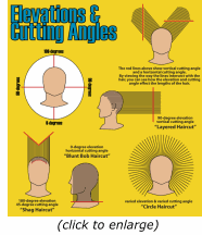 Once you've finished, brush all the hair to make sure it's even. Hair Cutting Techniques Back2myroots