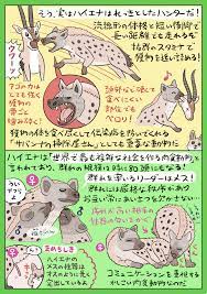 vs図解 ブチハイエナvsライオン 沼の見える街 動物 図鑑 動物 生き物