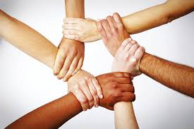 Image result for coalition