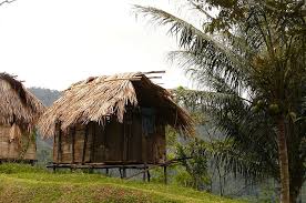 Maybe you would like to learn more about one of these? Hd Wallpaper House Stilt Cottage Palm Trees Plant Tropical Climate Wallpaper Flare