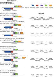 View the profiles of people named gonzalo calleja. A Novel Ompr Type Response Regulator Controls Multiple Stages Of The Rhizobium Etli Phaseolus Vulgaris N2 Fixing Symbiosis Researcher An App For Academics