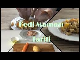 Sfenks Kedilerimize Tavuklu Ve Sebzeli Ogun Hazirladik Kedi Mamasi Tarifi Youtube Sphynx Ogun Kedi